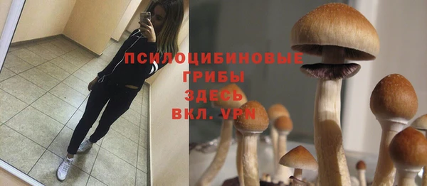 не бодяженный Верхний Тагил