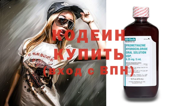 индика Ростов