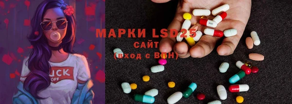 индика Ростов