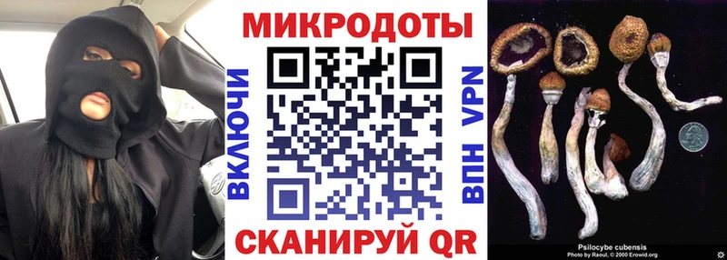 Галлюциногенные грибы Magic Shrooms  дарнет шоп  Никольское 